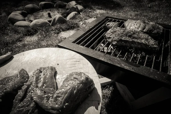 Bifes Grelhados Acampar Grelha Portátil — Fotografia de Stock