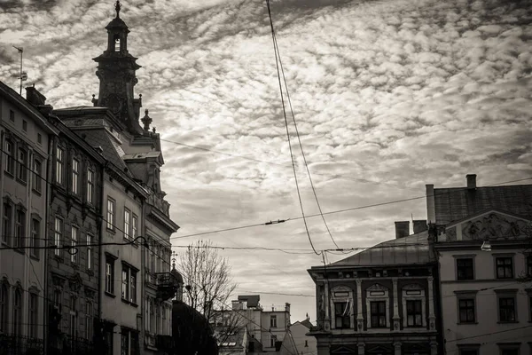 Belles Rues Maisons Lviv — Photo