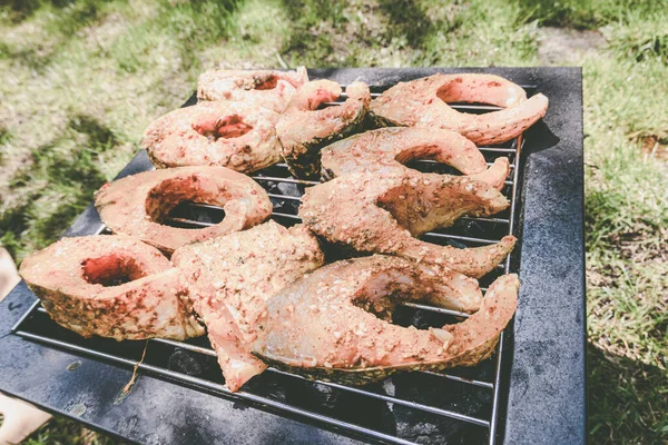 Cozinhar Carpa Fundo Grelha — Fotografia de Stock