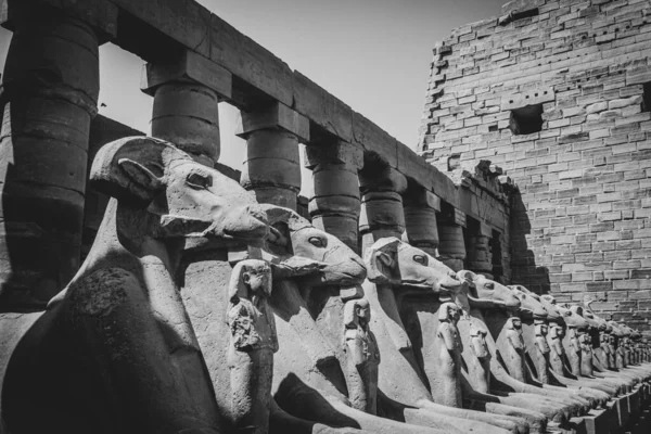 Oude Monumenten Van Egypte Karnak Tempel — Stockfoto