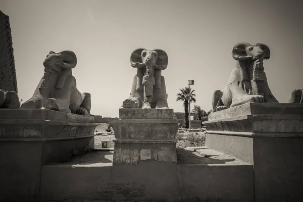 Antike Denkmäler Ägypten Karnak Tempel — Stockfoto