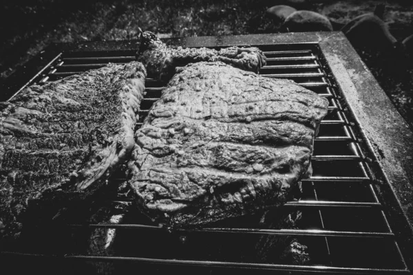 Bifes Grelhados Acampar Grelha Portátil — Fotografia de Stock