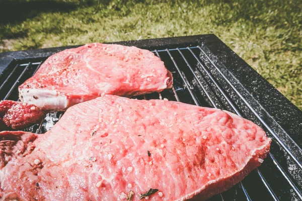 Grilované Steaky Kempování Přenosný Gril — Stock fotografie