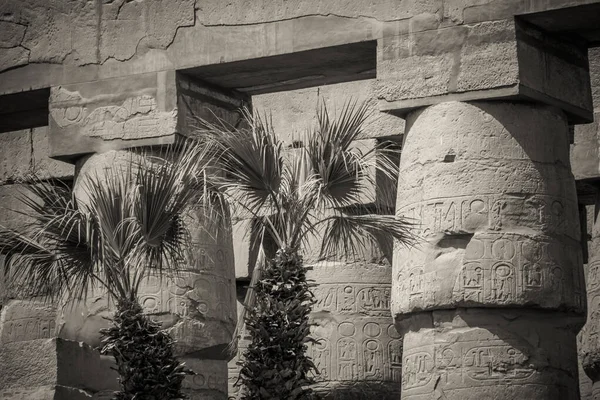 Monuments Anciens Egypte Temple Karnak — Photo