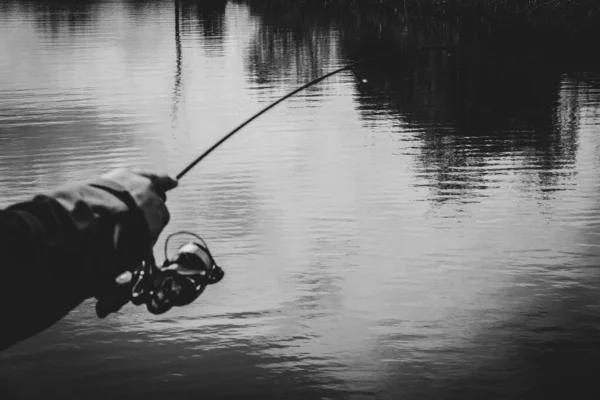 Rybaření Pstruhů Jezeře Rekreace — Stock fotografie