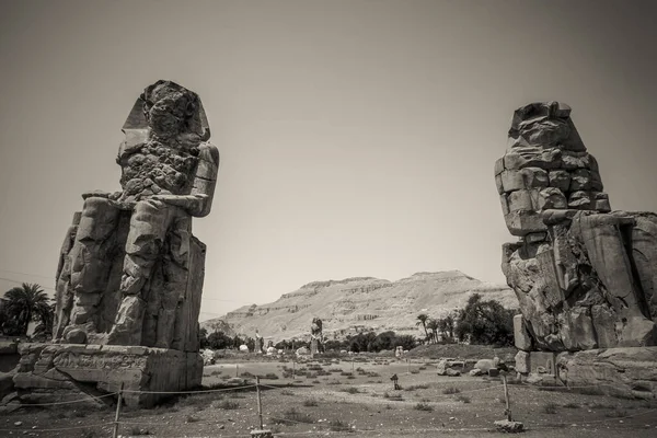 이집트의 — 스톡 사진