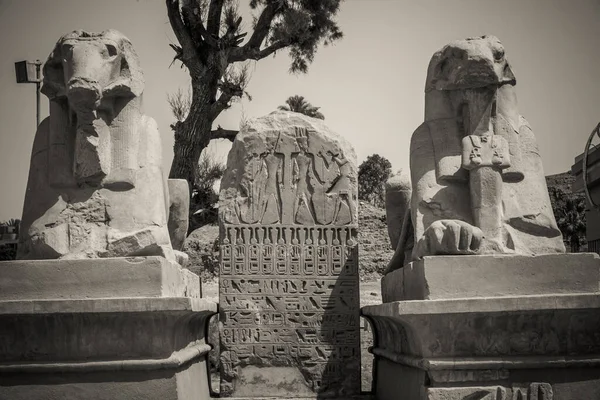 Monumentos Antigos Egito Templo Karnak — Fotografia de Stock