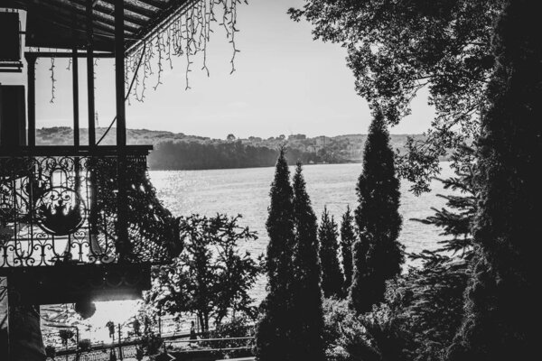 Beautiful terrace with trees by the lake
