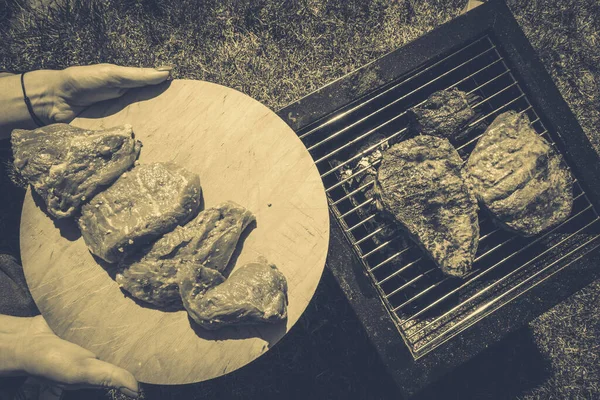 Filetes Parrilla Camping Parrilla Portátil —  Fotos de Stock