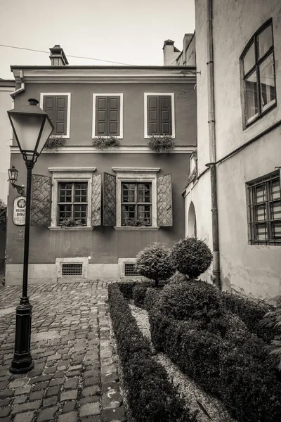 Hermosas Calles Casas Lviv — Foto de Stock