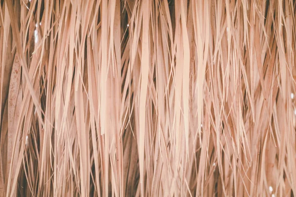 Dry Palm Leaves Background Texture — Stock Photo, Image