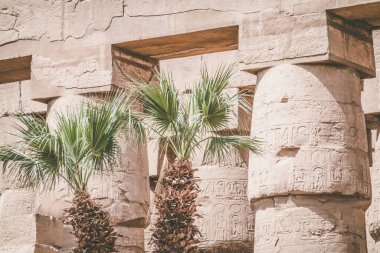 Mısır 'ın antik anıtları, Karnak tapınağı