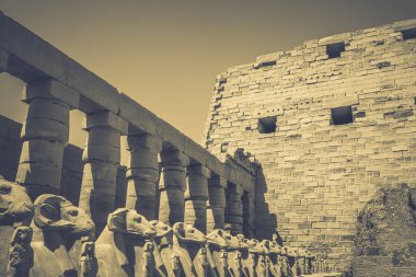 Mısır 'ın antik anıtları, Karnak tapınağı