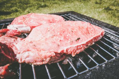 Izgara biftek, kamp. Taşınabilir ızgara