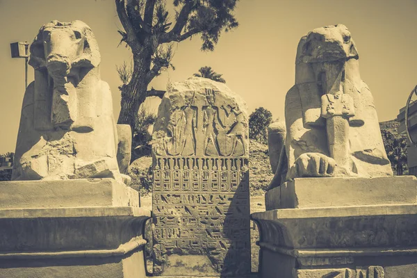Starověké Památky Egypta Karnakův Chrám — Stock fotografie