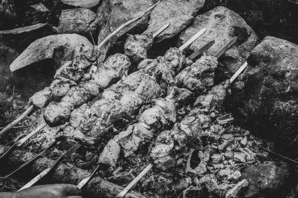 Shish Kebab Gril Jídlo Pozadí — Stock fotografie