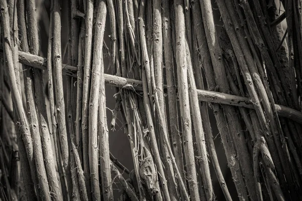 Dry Palm Leaves Background Texture — Stock Photo, Image