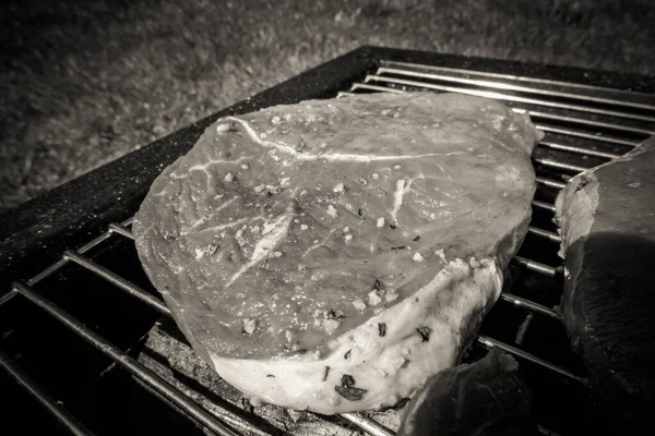 Grill Steaks Camping Portable Grill — Stock Photo, Image