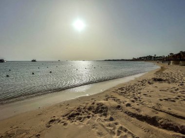 Güzel deniz pantonu ve kumsal