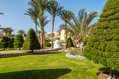 Güzel bahçe sanatı, manzara tasarımı arka plan