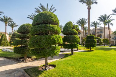 Güzel bahçe sanatı, manzara tasarımı arka plan