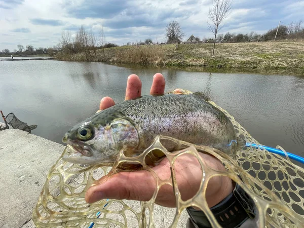 Trout Fishing Lake Background — Stock Photo, Image