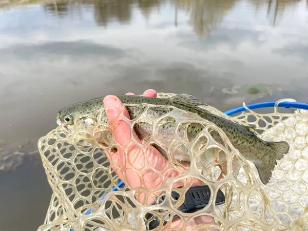 Trout Fishing Lake Background — Stock Photo, Image