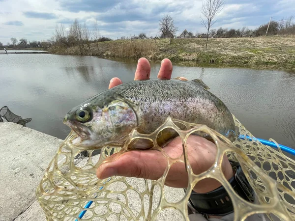 Trout Fishing Lake Background — Stock Photo, Image