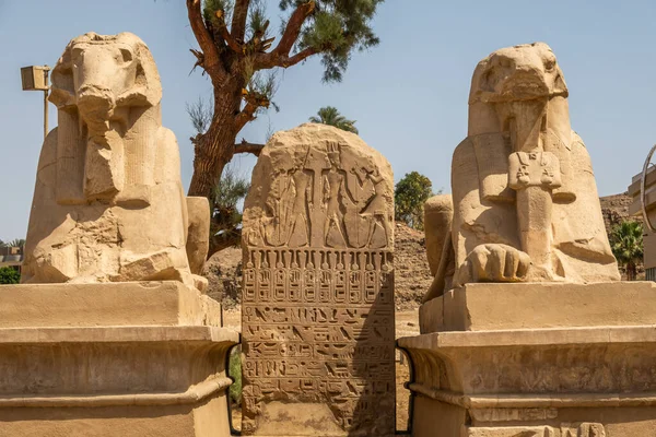 Monumentos Antigos Egito Templo Karnak — Fotografia de Stock