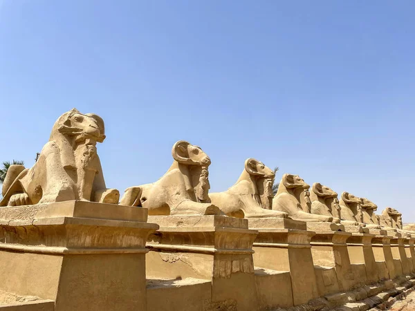 Monumentos Antigos Egito Templo Karnak — Fotografia de Stock