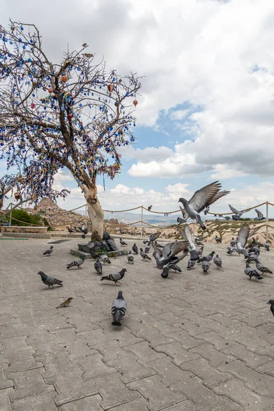 Mesés Természet Közelében Kashin Város Cappadocia — Stock Fotó