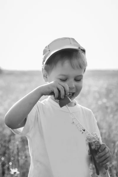 Boy in field — Stock Photo, Image