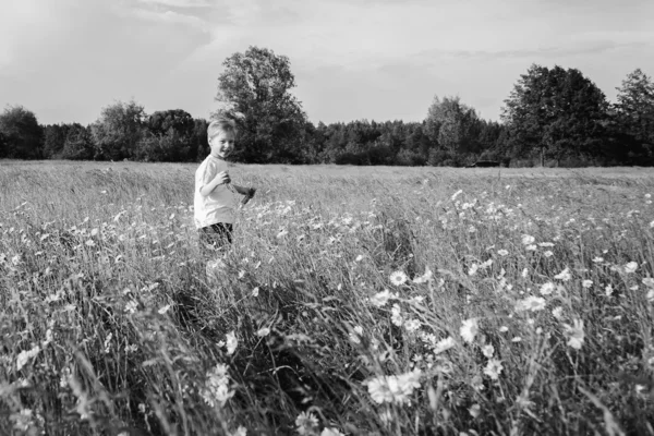 Jongen in veld — Stockfoto