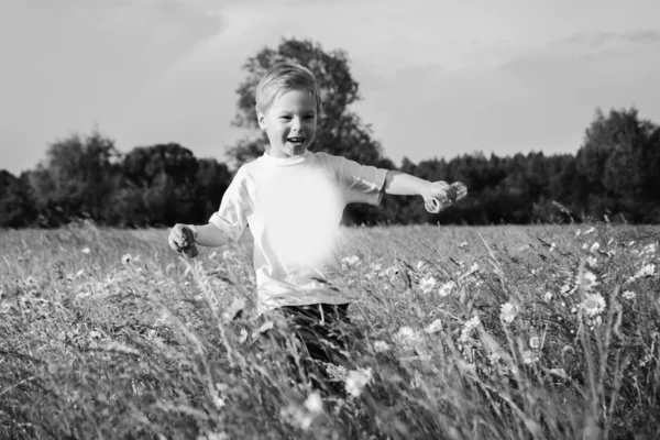 Jongen in veld — Stockfoto