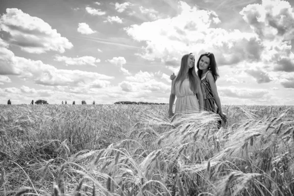 Dos niñas de pie en un campo de trigo . —  Fotos de Stock