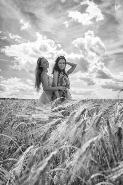 Due ragazze in piedi in un campo di grano . — Foto Stock