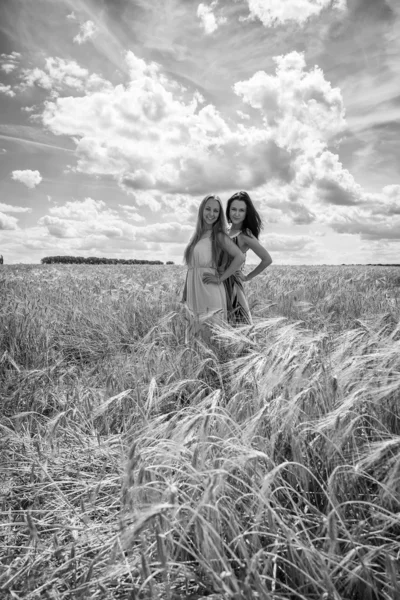 Duas meninas de pé em um campo de trigo . — Fotografia de Stock