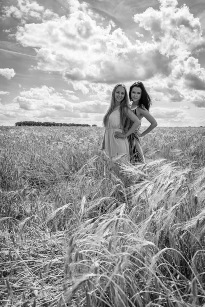 Två unga tjejer som står i ett vete fält. — Stockfoto