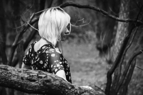 Vrouw in het bos — Stockfoto