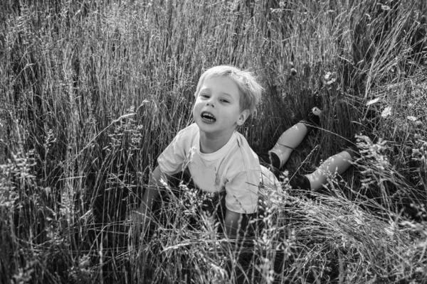 Jongen in veld — Stockfoto