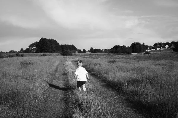 Junge auf dem Feld — Stockfoto