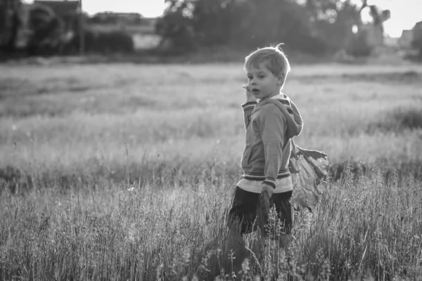 Boy in field — Stock Photo, Image