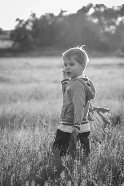 Niño en el campo — Foto de Stock