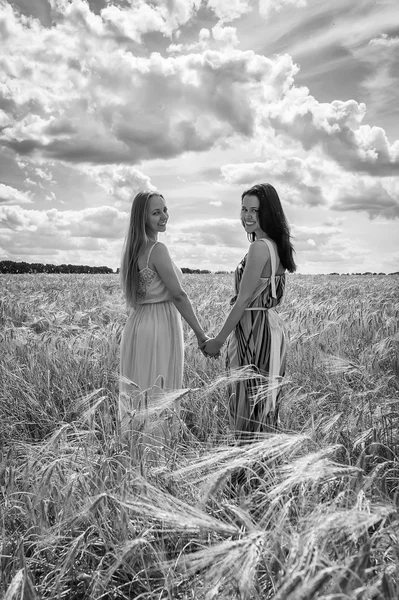 Two young girls standing in a wheat field. — Stock Photo, Image