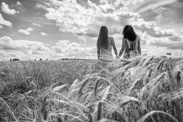 Meisjes in veld — Stockfoto