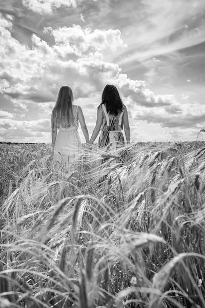 Two young girls standing in a wheat field. — Stock Photo, Image