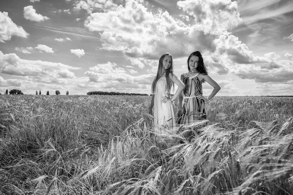 Due ragazze in piedi in un campo di grano . — Foto Stock