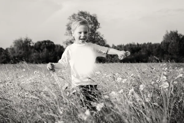 Niño en el campo — Foto de Stock