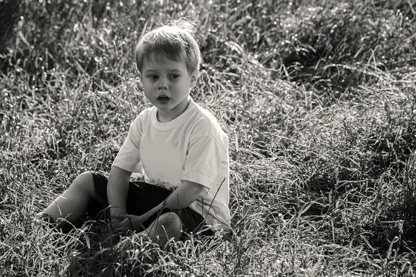 Pojke i fältet — Stockfoto