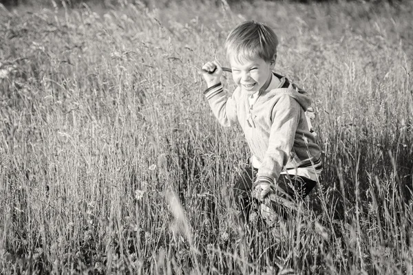 Jongen in veld — Stockfoto